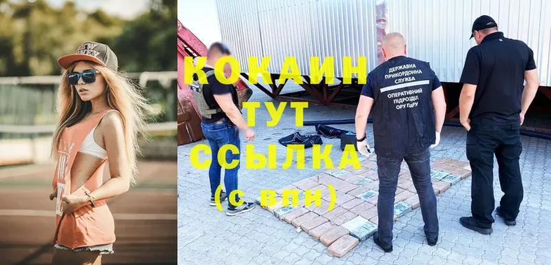 закладки  Заволжск  COCAIN VHQ 